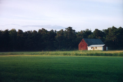 Gotland och Fårö, sommaren 2003