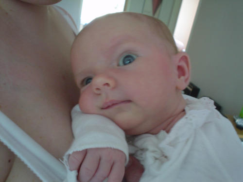2005-06-30 09:25:57