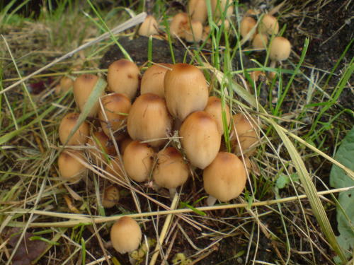 2008-09-10 09:52:48