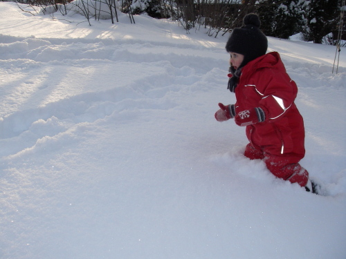 2010-01-29 11:42:44