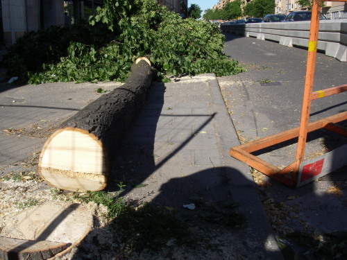 2010-06-23 17:55:44