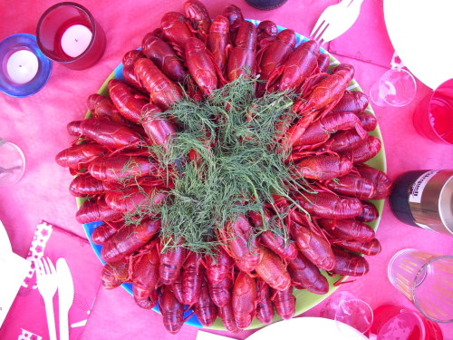 2010-08-14 19:21:53