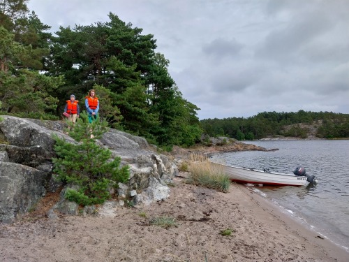 2026-07-22 13:11:05