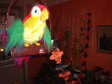 2003-10-31 15:33:39