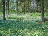 2004-05-07 11:56:26