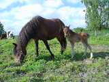 2004-06-06 08:37:21