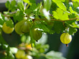 2004-08-16 10:22:52