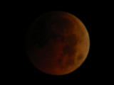 2004-10-28 04:38:55