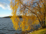 2004-11-13 13:24:31