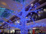 2004-12-05 13:49:14
