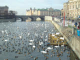 2005-02-08 10:14:13
