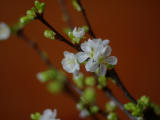 2005-02-13 09:31:19