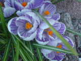 2005-04-01 18:04:05