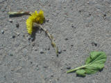 2005-04-23 13:29:24