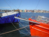 2005-05-05 13:37:02