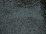 2005-06-22 06:04:25