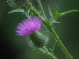 2005-08-13 18:27:02
