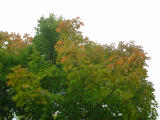 2005-09-20 17:40:37