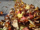 2005-10-15 14:09:55