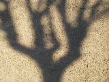2005-11-16 09:06:48