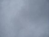 2006-03-29 13:01:26