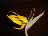2006-04-30 02:29:56