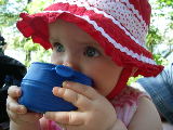 2006-06-17 14:56:17