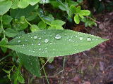 2006-06-26 07:20:58