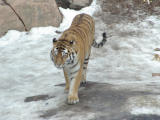 2007-03-06 13:48:15