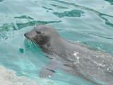 2007-03-06 14:14:44