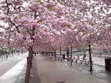 2007-04-19 16:26:29