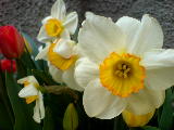 2007-04-29 16:20:38