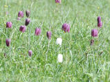 2007-05-20 13:35:50