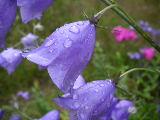 2007-07-13 13:19:34