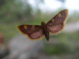 2007-07-15 14:39:06
