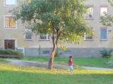 2007-08-19 19:30:54