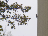 2007-10-30 09:21:27