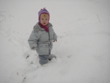 2007-11-13 11:58:50