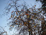 2008-01-27 12:46:52