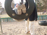 2008-02-19 11:59:44