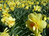 2008-04-29 12:52:56