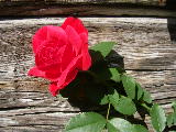 2008-08-16 13:58:37
