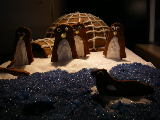 2008-12-05 14:50:20
