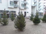 2009-01-13 10:53:58