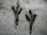 2009-01-30 12:13:00