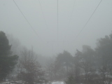 2009-02-07 11:14:48