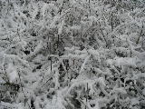 2009-03-10 12:19:16