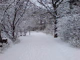 2009-03-10 14:39:50