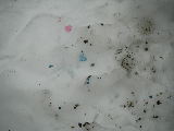 2009-03-16 15:52:01