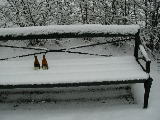 2009-03-23 09:33:36